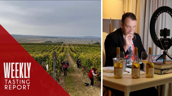 Hungary’s Royal Flush, the Nahe’s Riesling Originality and Complex Pinots from Alto Adige: Weekly Tasting Report