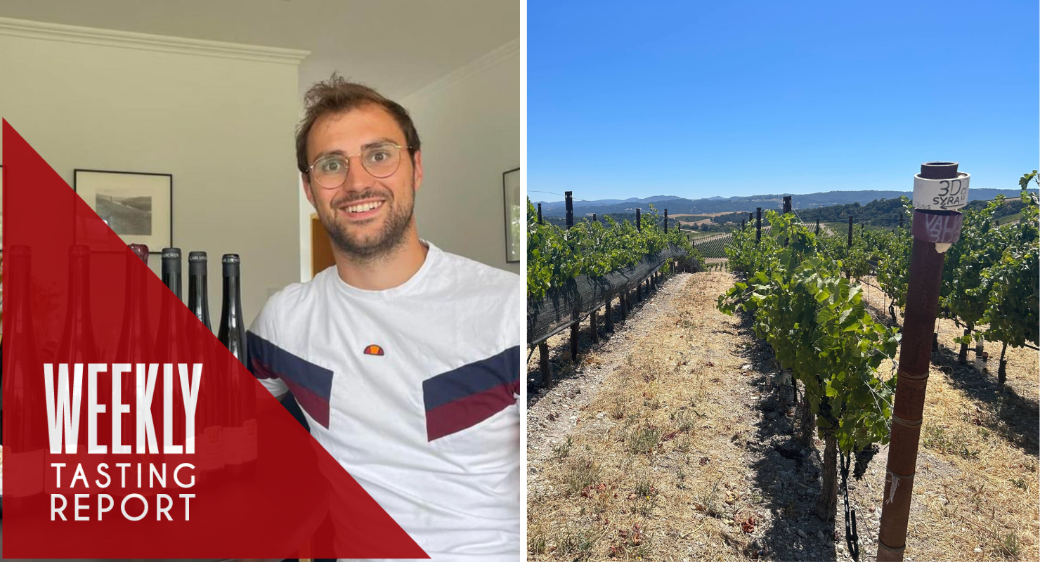 Magnificence From the Mosel, Plus Handling the Heat in Paso Robles: Weekly Tasting Report (Aug 28-Sept 3)