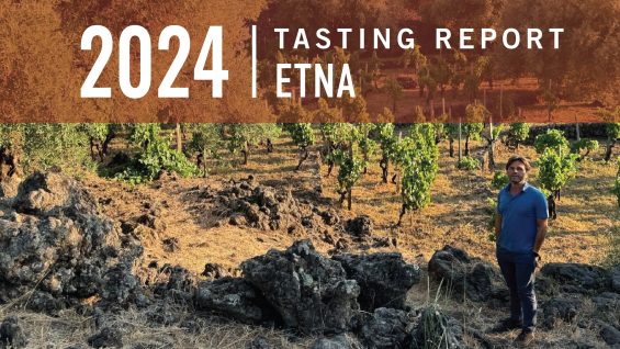 Etna 2024 Tasting Report: Eyeing the Summit of Quality