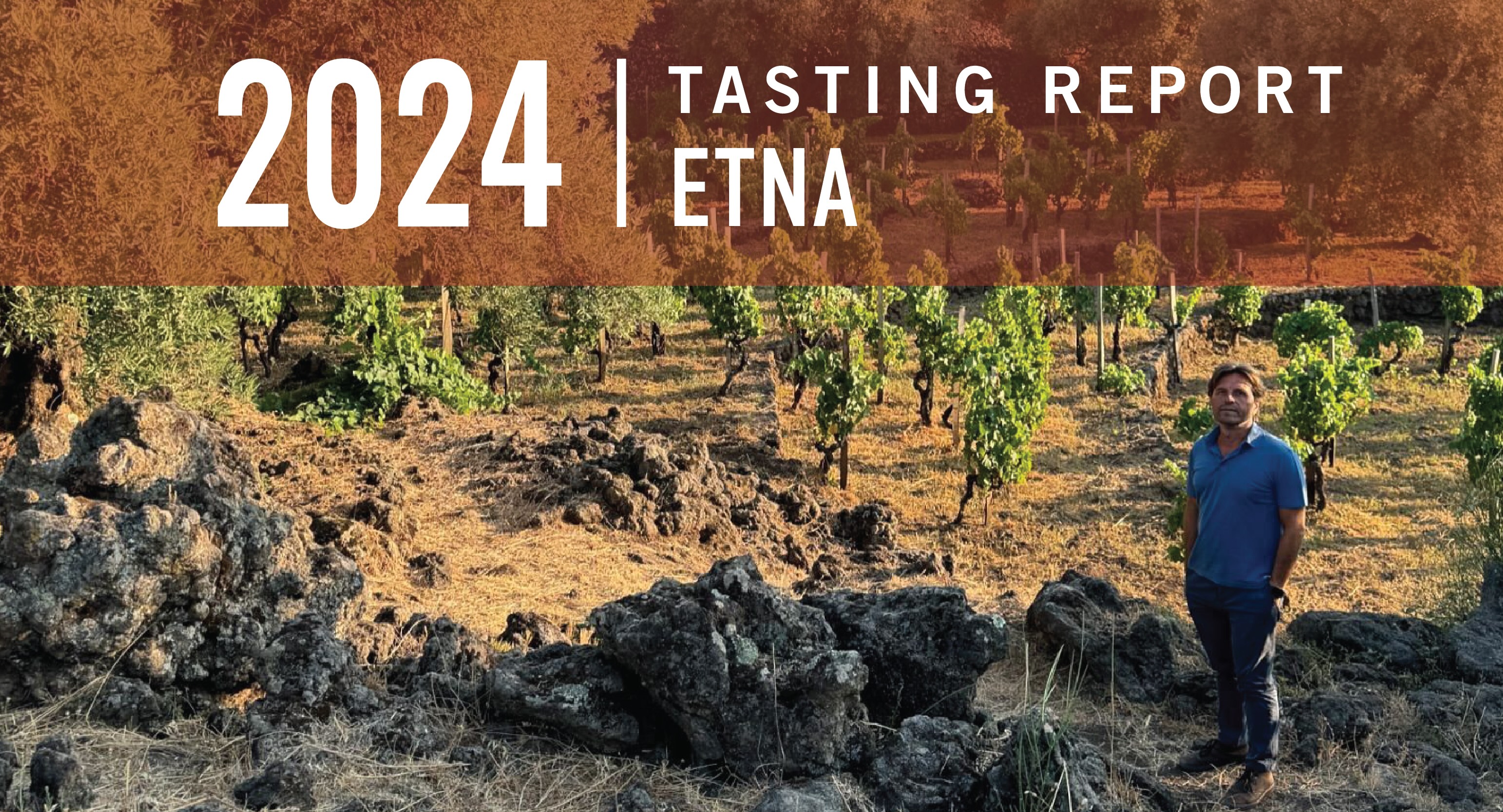 Etna 2024 Tasting Report: Eyeing the Summit of Quality