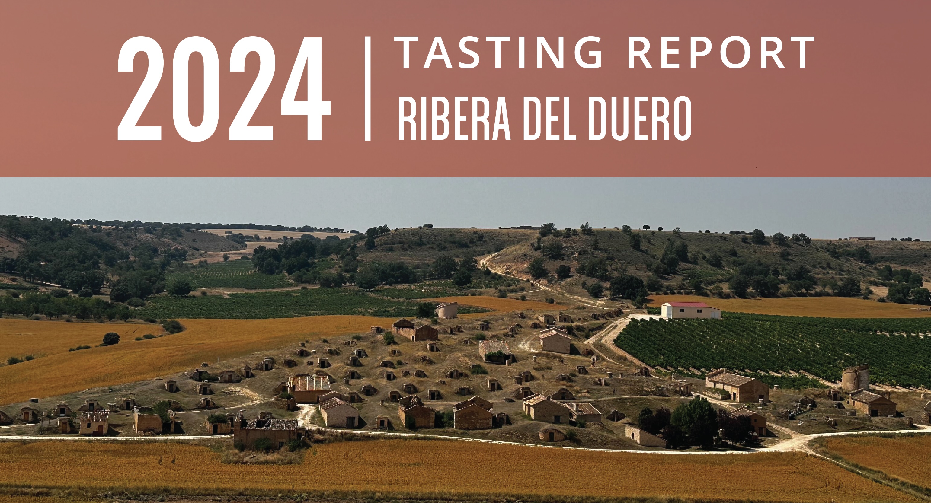 Ribera del Duero Annual Tasting Report: Flipping the Script on Convention