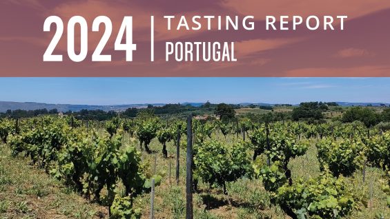 Portugal 2024 Tasting Report: A Fresh Twist on Heritage