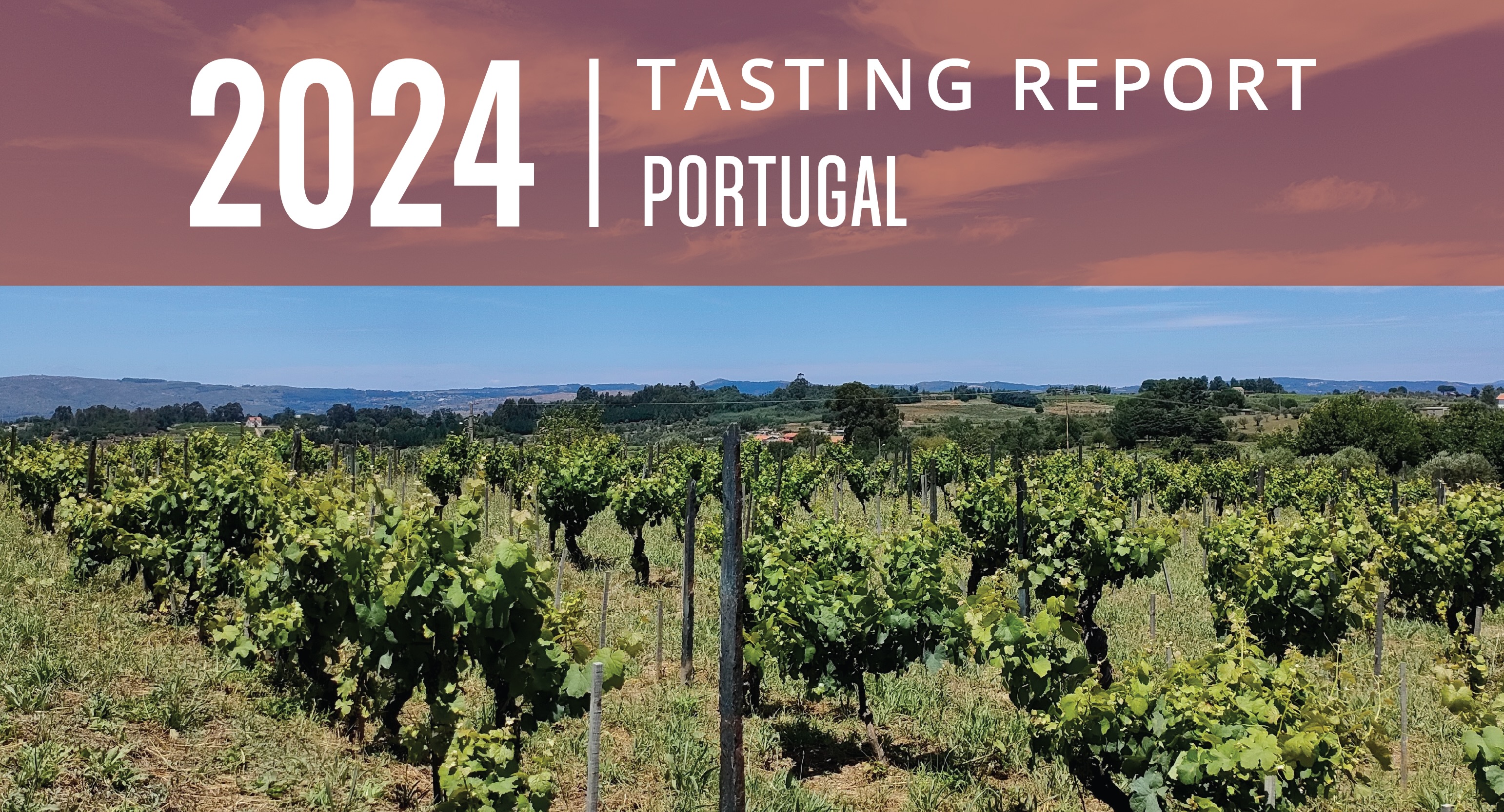 Portugal 2024 Tasting Report: A Fresh Twist on Heritage