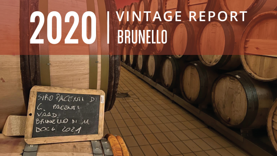 Brunello 2020 Vintage Report: Freshness Comes to the Fore