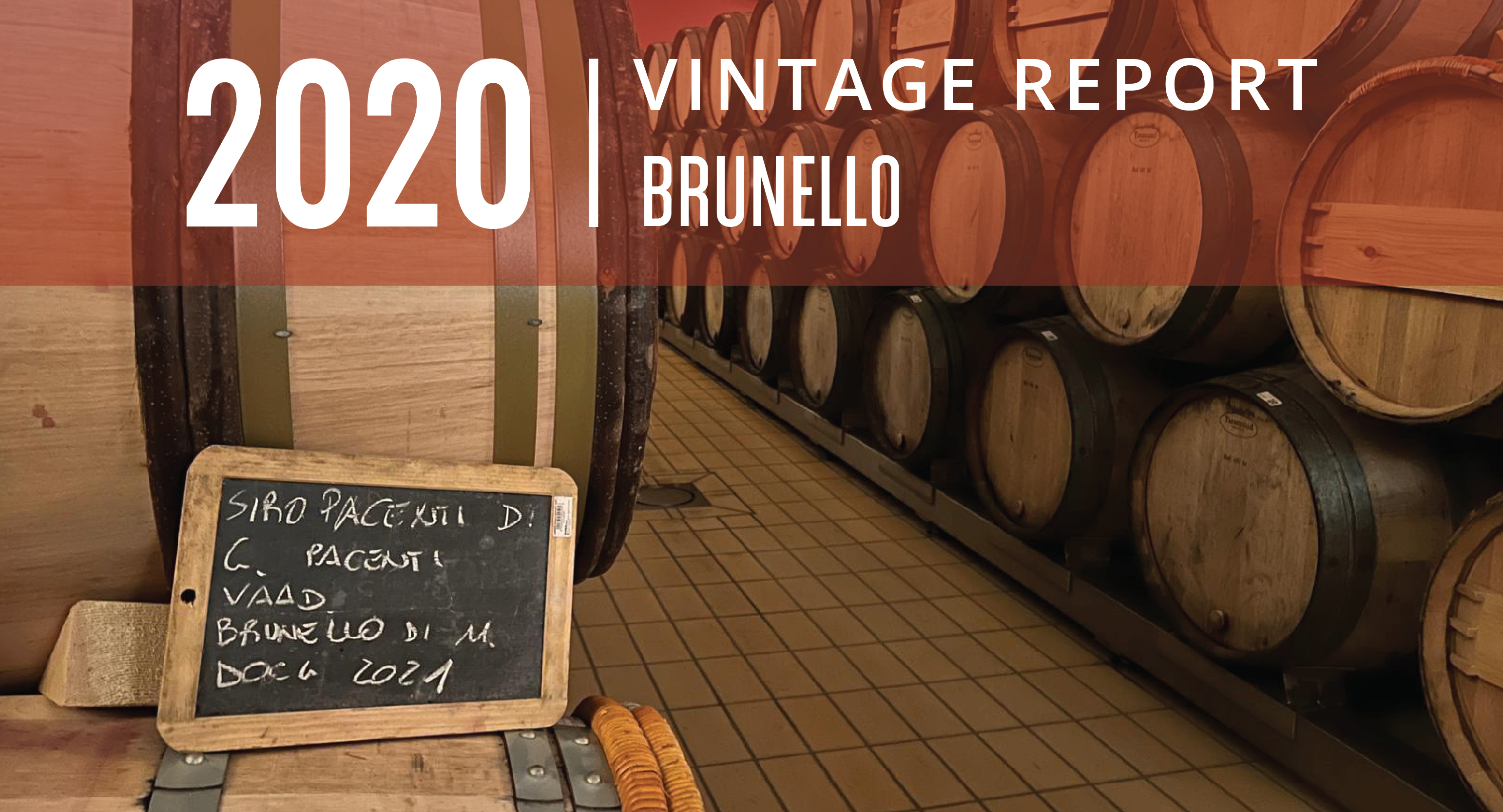 Brunello 2020 Vintage Report: Freshness Comes to the Fore