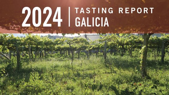 Galicia 2024 Tasting Report: A Return to Heritage