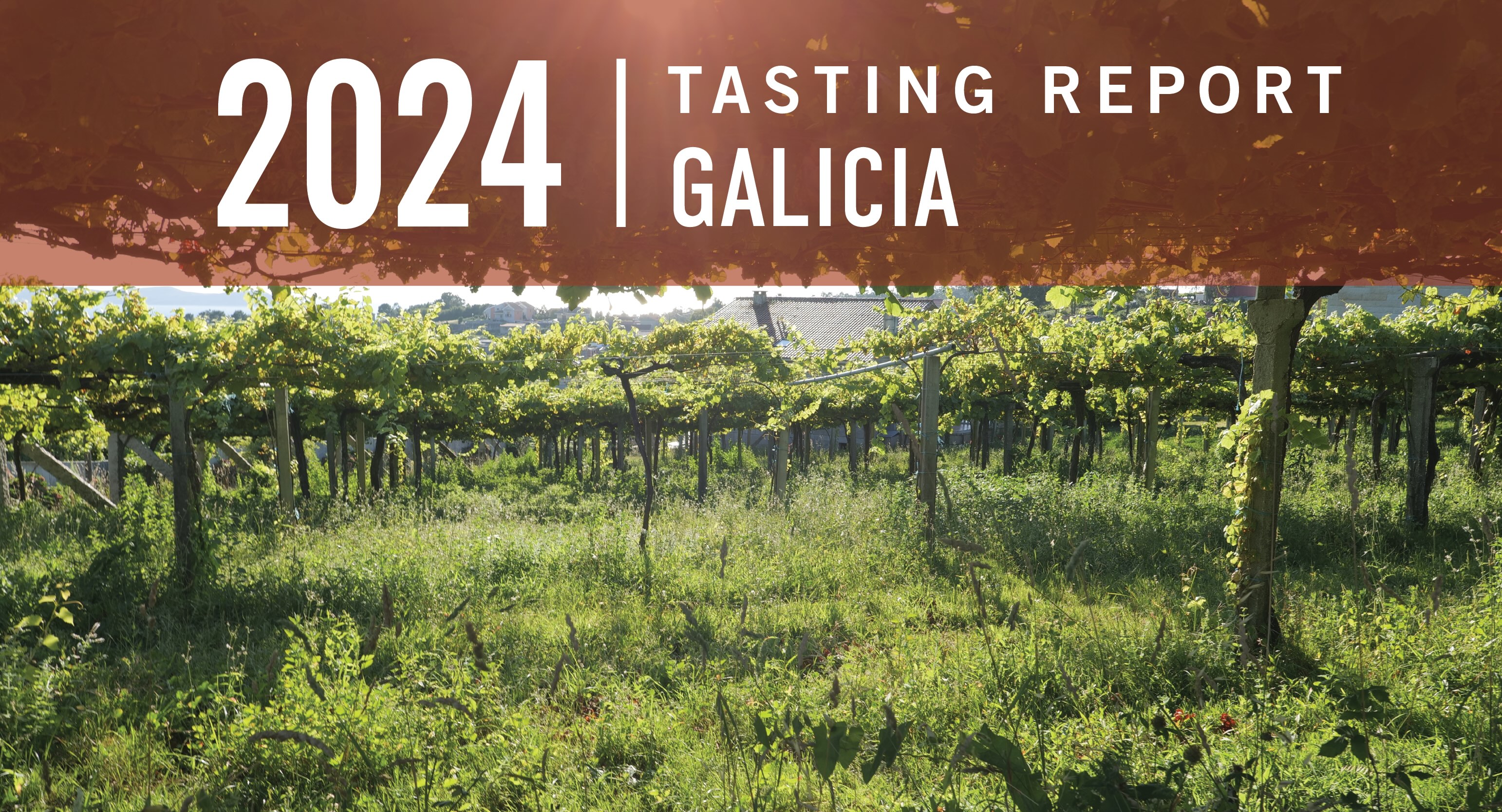 Galicia 2024 Tasting Report: A Return to Heritage