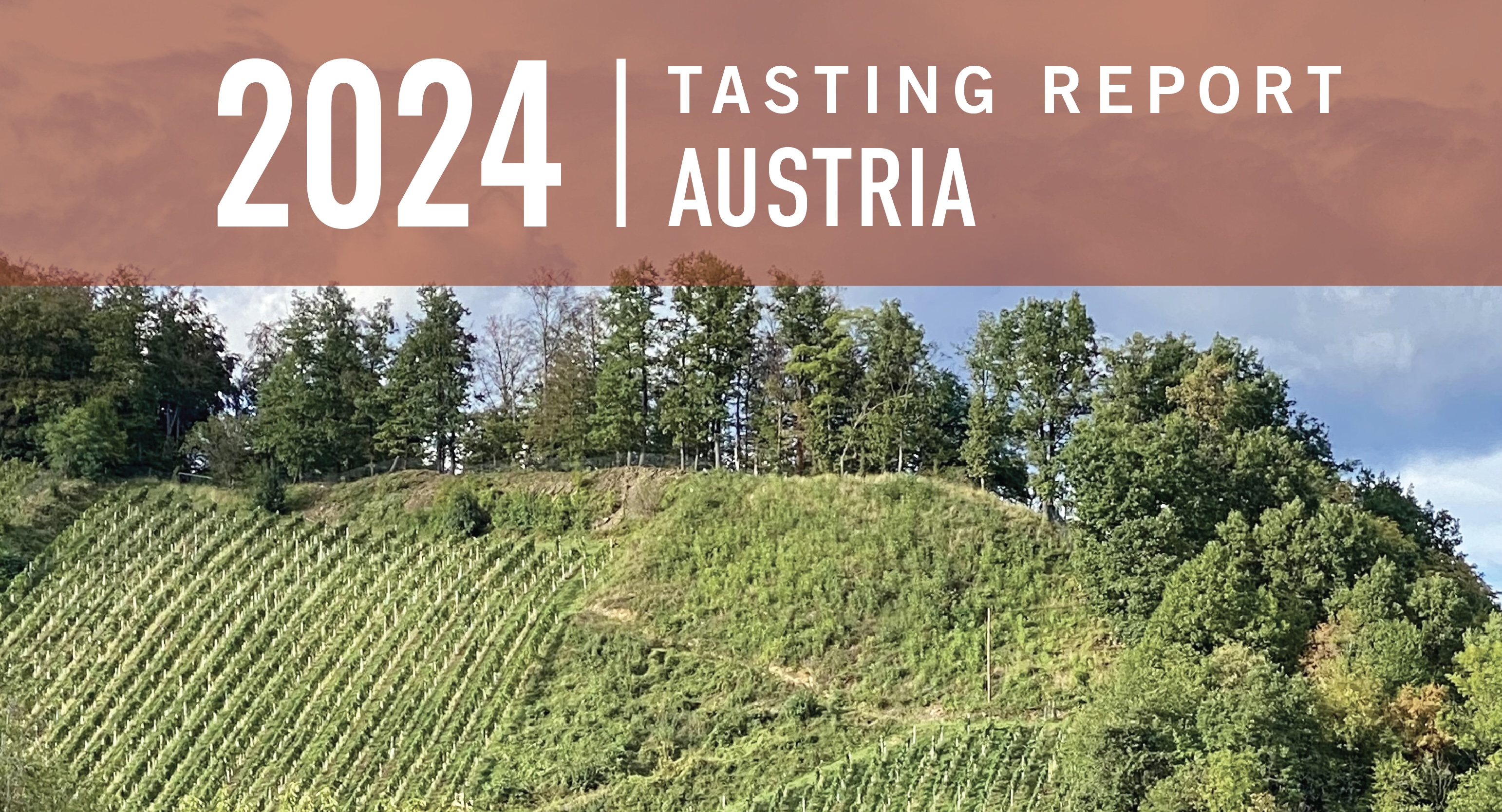 Austria’s Miracle Vintage: 2024 Tasting Report