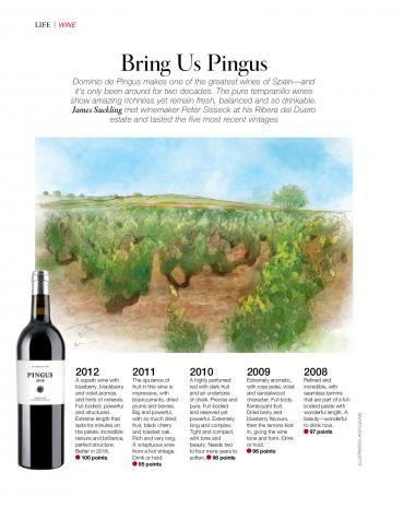 Tasting Of Pingus' Recent Five Vintages