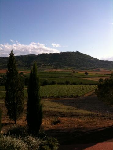 Tasting Report: All Tuscan Wines Tasted in 2012